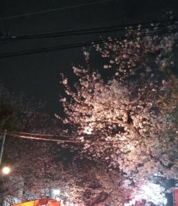 新生活🌸